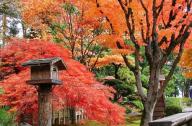 日式园林印象：缩景园和枯山水