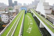 南宁屋顶绿化模式探索取得显著成效