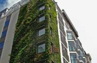  贵阳绿化新方向：拟全市推高层垂直绿化