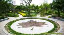 北京枫树家园二期项目园林景观绿化工程
