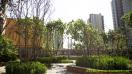 北京中粮万科长阳项目3号地北京小学园林软硬景工程