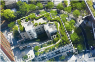 上海绿化新政：低层建筑物全面推广屋顶绿化
