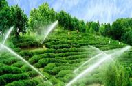 园林景观灌溉系统如何设计？