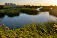 未来生态湿地发展前景分析