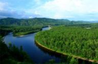 京津冀协同发展林业生态绿化规划