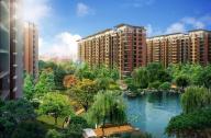 北京华侨城景观绿化工程实景