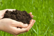 2016上海绿化种植土壤标准