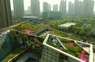 南京：屋顶绿化须与新建楼房同步