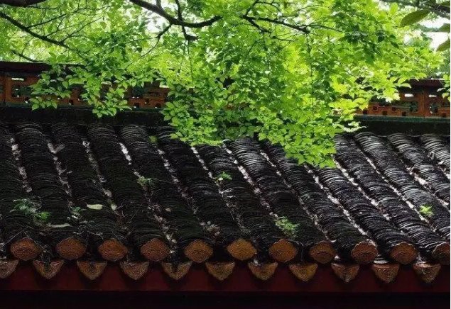 图解中式园林的瓦当之美