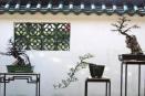 图解中式园林的漏景之美