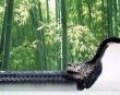 图解中式园林的翠竹之美