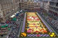 布鲁塞尔Flower Carpet：超壮观的花卉地毯式景观设计
