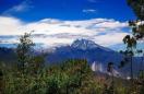 香格里拉高山植物园