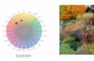 花镜设计的方法之色彩构成