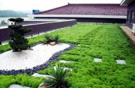 城市屋顶花园建设中植物应用