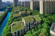 上海中鹰黑森林 难得的100%绿化率