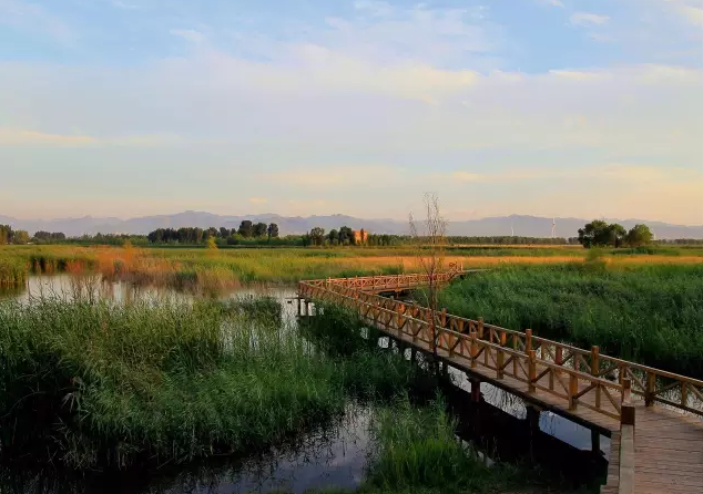 北京最大最美的湿地公园景观：野鸭湖国家湿地公园