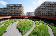 阿姆斯特尔芬的Zonnehuis养老院景观设计赏析
