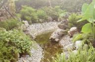 卵石缓坡驳岸技术