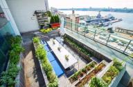 纽约曼哈顿的屋顶农场餐厅景观设计欣赏