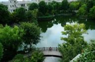 上海·银都名墅住宅景观设计赏析