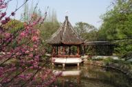 上海著名的五大古典园林之一：松江醉白池