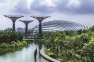 处在绿色城市发展前沿的城市：香港、新加坡和东京