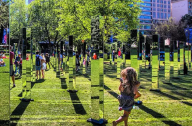 悉尼：海德公园Field艺术装置雕塑景观