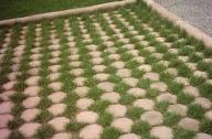 草坪砖内草坪的建植和管理技术
