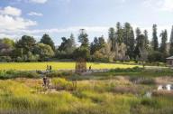 滨水景观成功改造案例：澳大利亚Adelaide植物园湿地