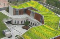 屋顶绿化如何改善空气质量？