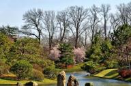 日本古典园林鉴赏