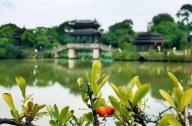 上海韩湘水博园园林景观设计亮点浅析